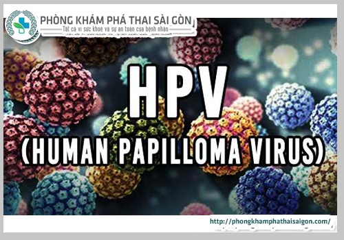 Virus-HPV-gay-benh-sui-mao-ga